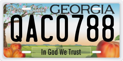 GA license plate QAC0788