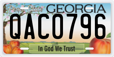 GA license plate QAC0796