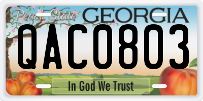 GA license plate QAC0803
