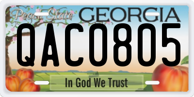GA license plate QAC0805