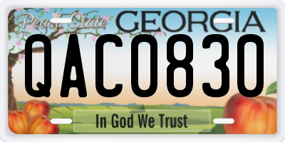 GA license plate QAC0830