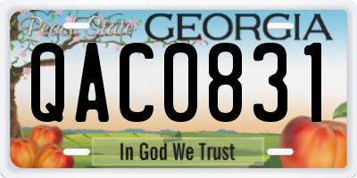 GA license plate QAC0831