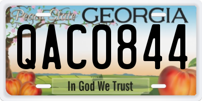 GA license plate QAC0844