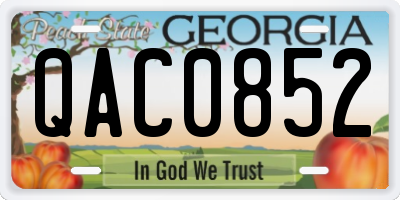 GA license plate QAC0852