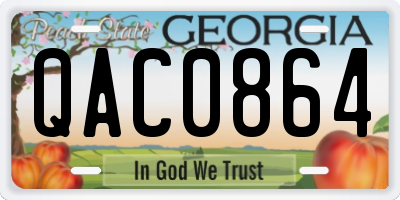 GA license plate QAC0864