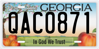 GA license plate QAC0871