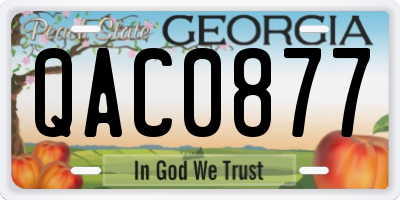 GA license plate QAC0877