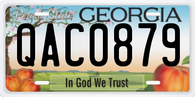 GA license plate QAC0879