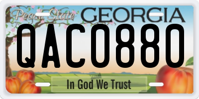 GA license plate QAC0880