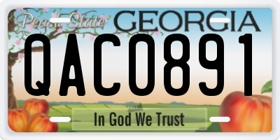 GA license plate QAC0891