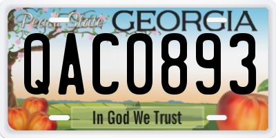 GA license plate QAC0893
