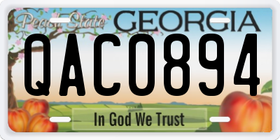 GA license plate QAC0894