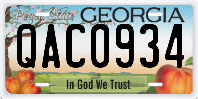 GA license plate QAC0934