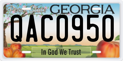 GA license plate QAC0950