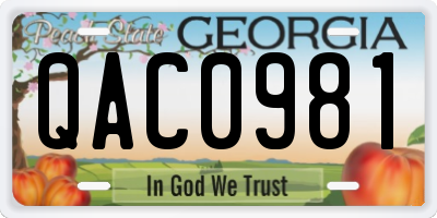 GA license plate QAC0981
