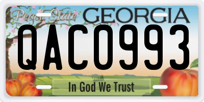 GA license plate QAC0993