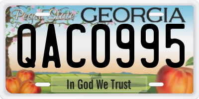 GA license plate QAC0995