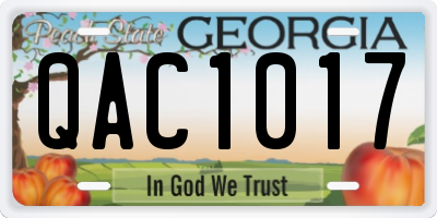 GA license plate QAC1017