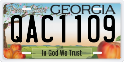 GA license plate QAC1109
