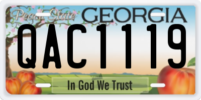 GA license plate QAC1119