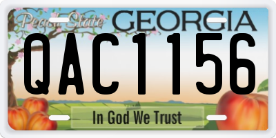 GA license plate QAC1156