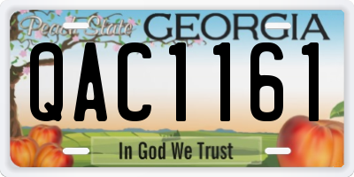 GA license plate QAC1161