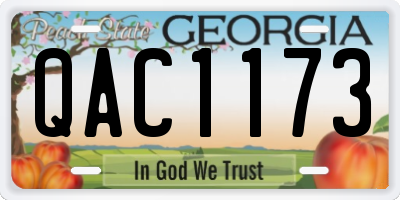 GA license plate QAC1173