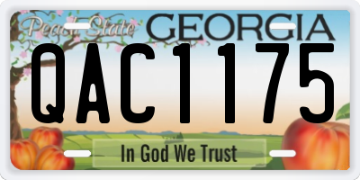GA license plate QAC1175