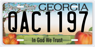GA license plate QAC1197