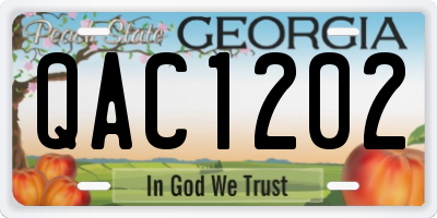 GA license plate QAC1202