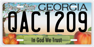 GA license plate QAC1209