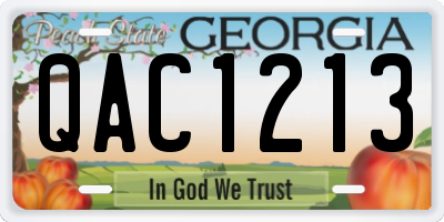 GA license plate QAC1213