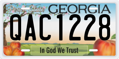 GA license plate QAC1228