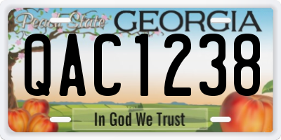 GA license plate QAC1238