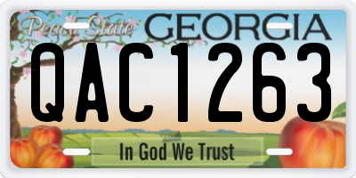 GA license plate QAC1263