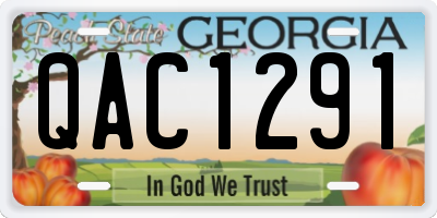 GA license plate QAC1291