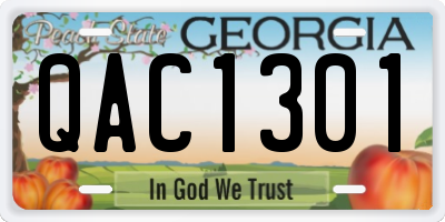 GA license plate QAC1301