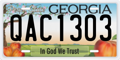 GA license plate QAC1303