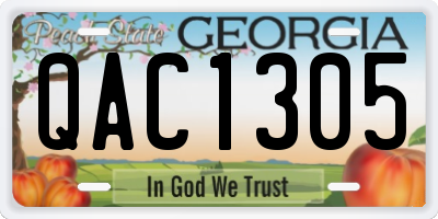 GA license plate QAC1305