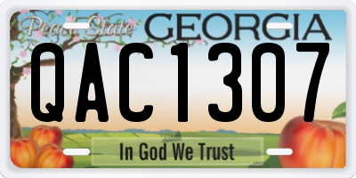 GA license plate QAC1307