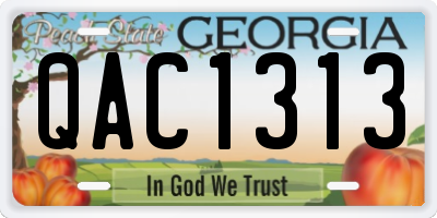 GA license plate QAC1313