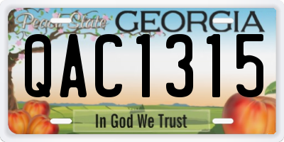 GA license plate QAC1315