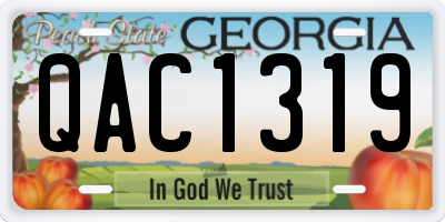 GA license plate QAC1319