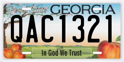 GA license plate QAC1321