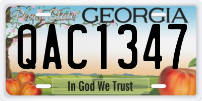 GA license plate QAC1347