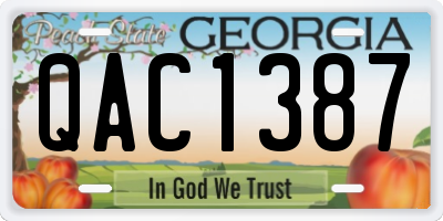 GA license plate QAC1387