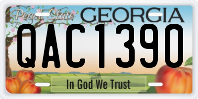 GA license plate QAC1390