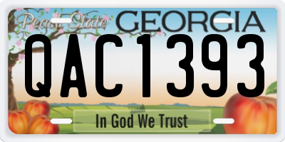 GA license plate QAC1393