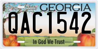 GA license plate QAC1542