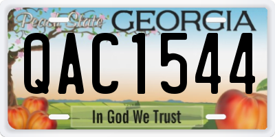 GA license plate QAC1544